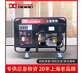 東明單三相10kw便攜式應急小型柴油發電機組DMDS12000LE/YJ 東明單三相10kw便攜式應急小型柴油發電機組DMDS12000LE/YJ